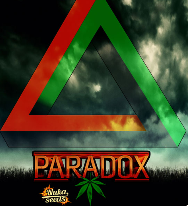 PARADOX 10 ks.