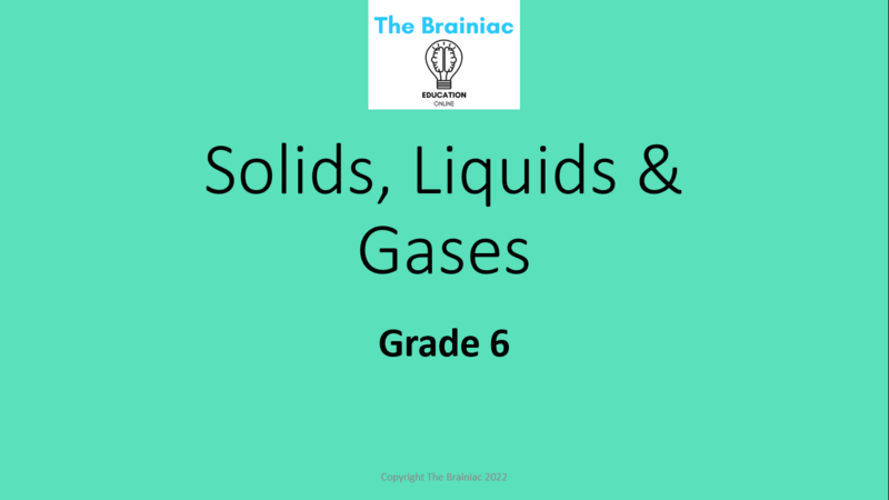 Gr 6 NST PowerPoints - Term 2