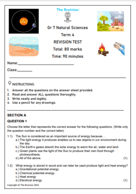 Gr 7 NS Revision Test - Term 4