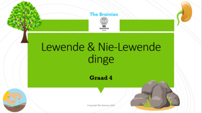 Gr 4 NWT PowerPoints - Kwartaal 1