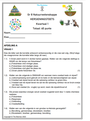 Gr 8 NW Hersieningstoets - Kwartaal 1