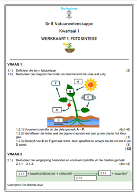 Gr 8 NW Werkkaarte - Kwartaal 1