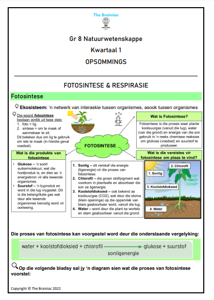 Gr 8 NW Opsommings - Kwartaal 1