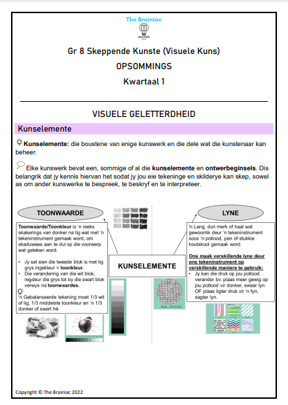 Gr 8 Visuele Kuns Opsommings - Kwartaal 1