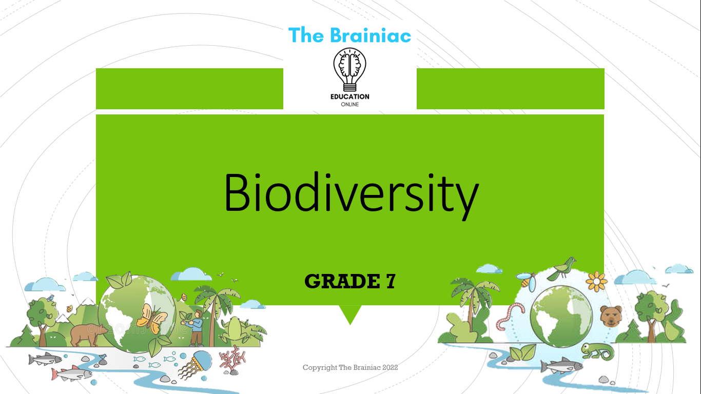 Gr 7 NS PowerPoints - Term 1