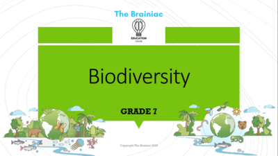 Gr 7 NS PowerPoints - Term 1