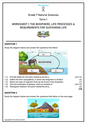 Gr 7 NS Worksheets - Term 1