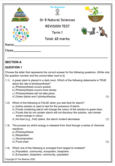 Gr 8 NS Revision Test - Term 1