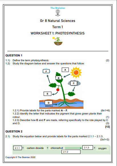 Gr 8 Natural Sciences Worksheets - Term 1