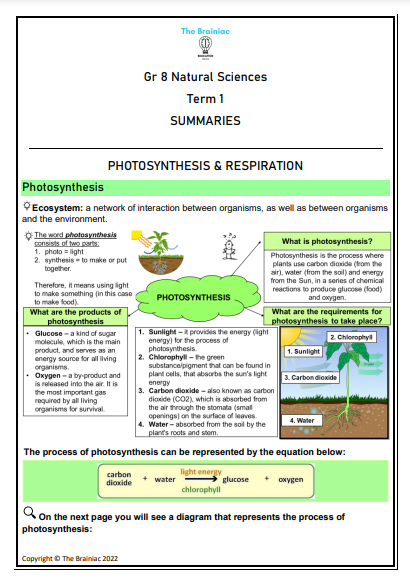 Gr 8 NS Summaries - Term 1