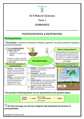 Gr 8 NS Summaries - Term 1