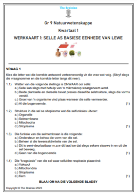 Gr 9 NW Werkkaarte - Kwartaal 1
