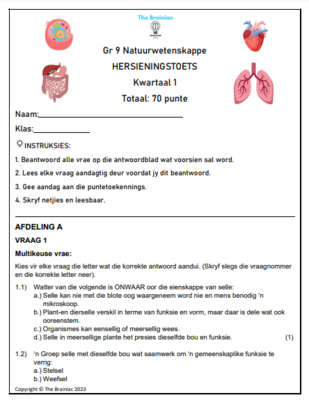 Gr 9 NW Hersieningstoets - Kwartaal 1