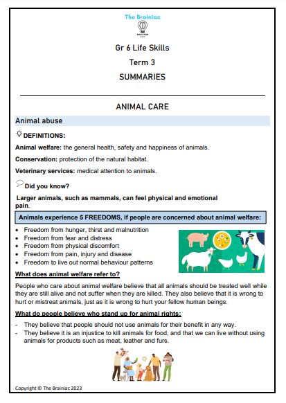 Gr 6 Life Skills Summaries - Term 3