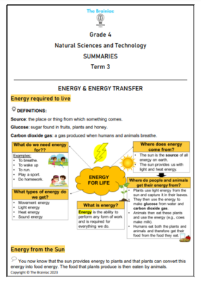 Gr 4 NST Summaries - Term 3