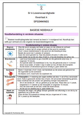 Gr 6 Lewensvaardighede (PSW) Opsommings - Kwartaal 4