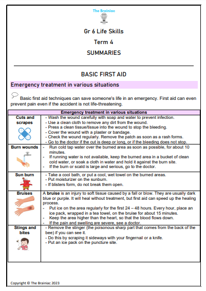 Gr 6 Life Skills Summaries - Term 4