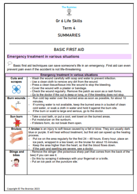 Gr 6 Life Skills Summaries - Term 4