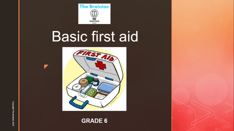 Gr 6 Life Skills PowerPoints - Term 4