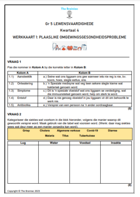 Gr 5 Lewensvaardighede Werkkaarte - Kwartaal 4