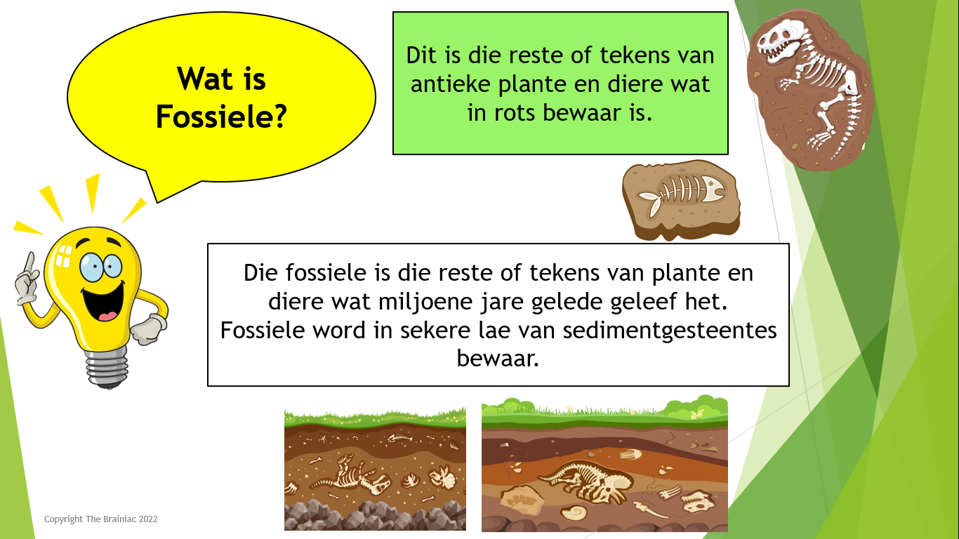 Gr 5 NST PowerPoints - Term 4
