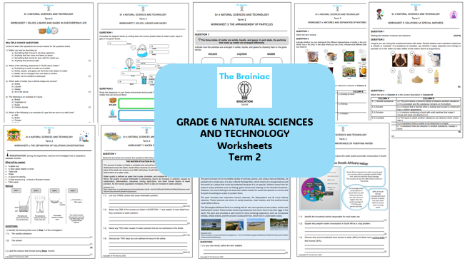 Gr 6 NST Worksheets - Term 2