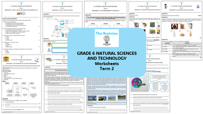 Gr 6 NST Worksheets - Term 2