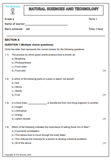 Gr 6 NST Assessment (Term Test) - Term 1