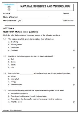 Gr 6 NST Assessment (Term Test) - Term 1