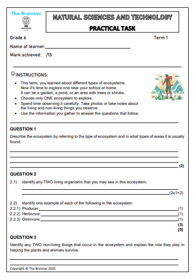 Gr 6 NST Assessment (Practical Task) - Term 1