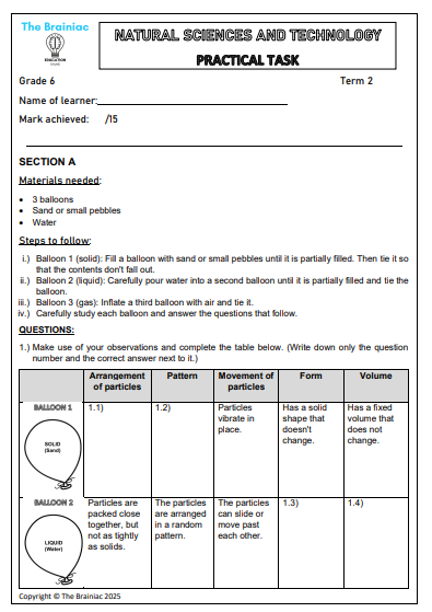 Gr 6 NST Assessment (Practical Task) - Term 2