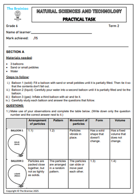 Gr 6 NST Assessment (Practical Task) - Term 2