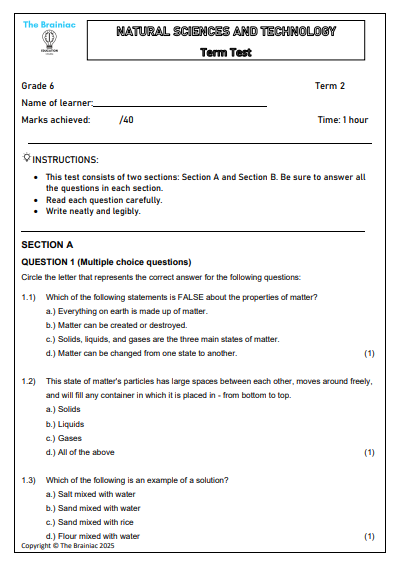 Gr 6 NST Assessment (Term Test) - Term 2