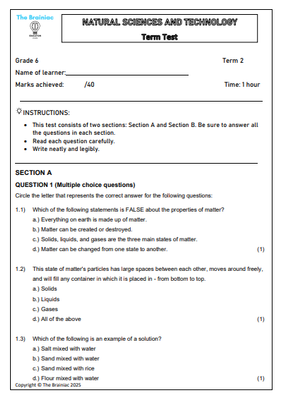 Gr 6 NST Assessment (Term Test) - Term 2