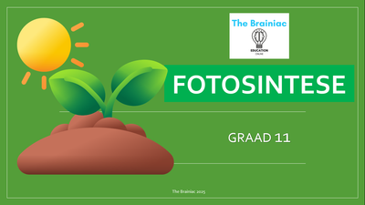 Gr 11 Lewenswetenskappe PowerPoints - Kwartaal 2