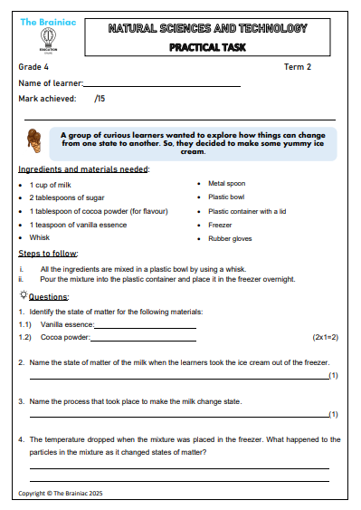 Gr 4 NST Practical Task - Term 2