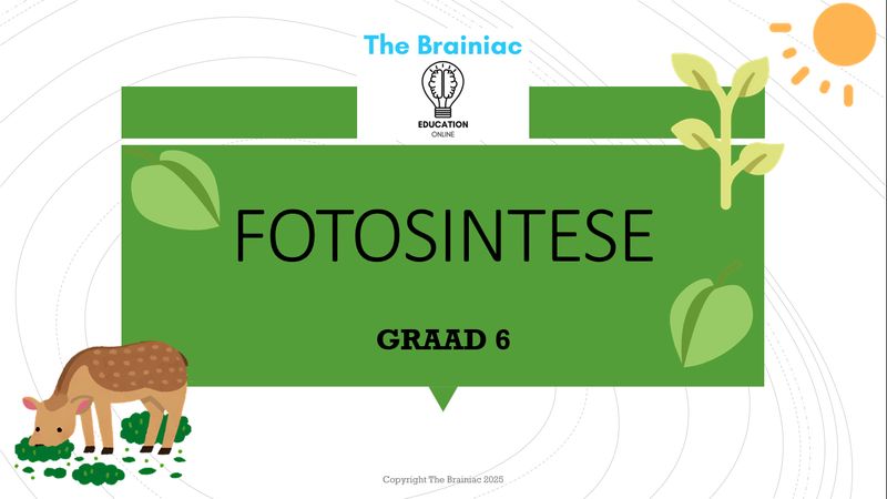 Gr 6 NWT PowerPoints - Kwartaal 1