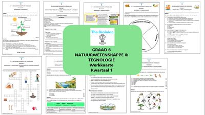 Gr 6 NWT Werkkaarte - Kwartaal 1