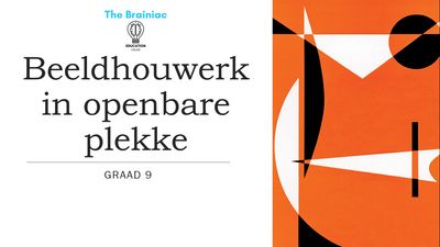 Gr 9 Visuele Kuns PowerPoints - Kwartaal 2