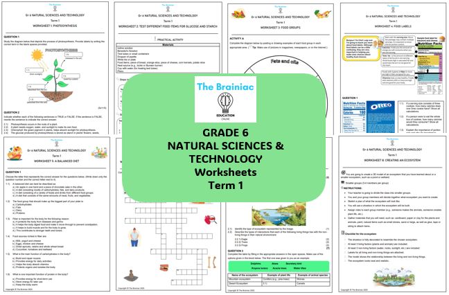 Gr 6 NST Worksheets - Term 1