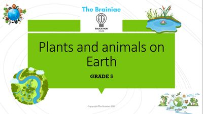 Gr 5 NST PowerPoints - Term 1