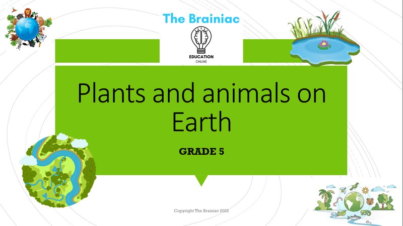 Gr 5 NST PowerPoints - Term 1