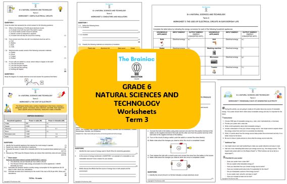 Gr 6 NST Worksheets - Term 3