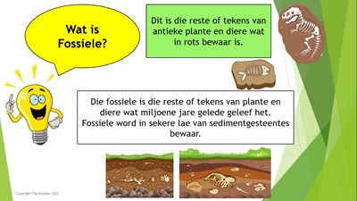 Gr 5 NST PowerPoints - Term 4