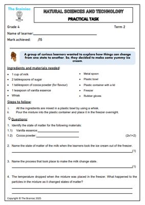 Gr 4 NST Practical Task - Term 2