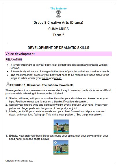 Gr 8 Creative Arts (Drama) Summaries - Term 2