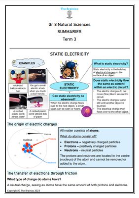 Gr 8 NS Summaries - Term 3