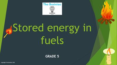 Gr 5 NST PowerPoints - Term 3