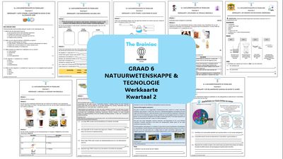Gr 6 NWT Werkkaarte - Kwartaal 2