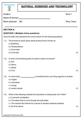Gr 6 NST Assessment (Term Test) - Term 1
